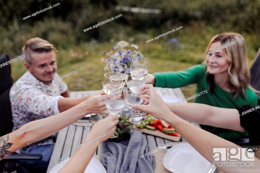 Stock Photo: Friends during garden party.