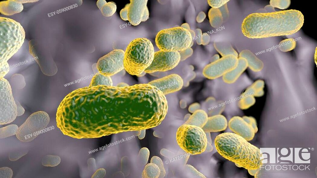 Stock Photo: Multidrug resistant bacteria. Biofilm of bacteria Acinetobacter baumannii, the common causative agent of hospital-acquired infections 3D illustration.