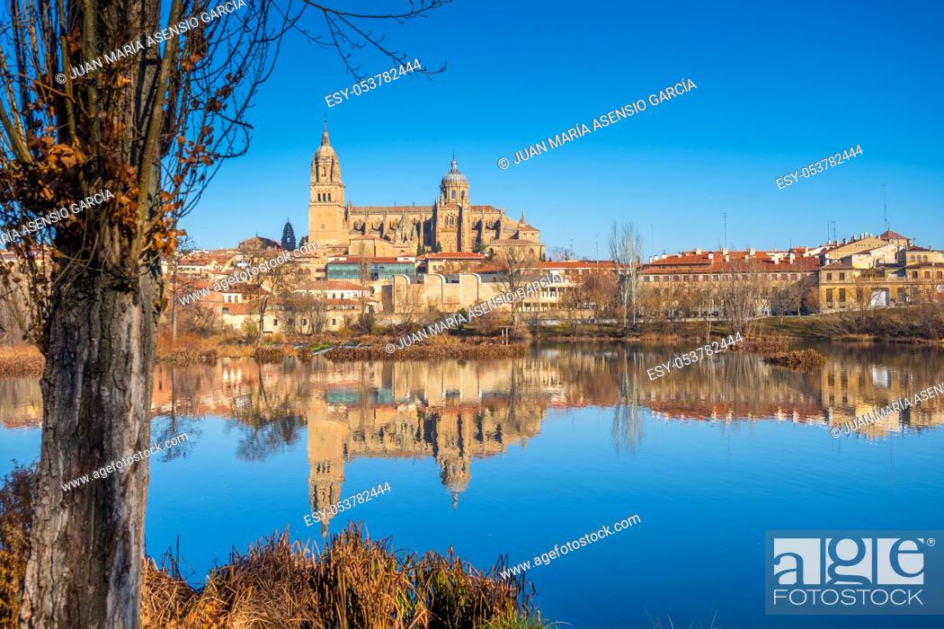Stock Photo: cathedral of Salamanca next to the river.
