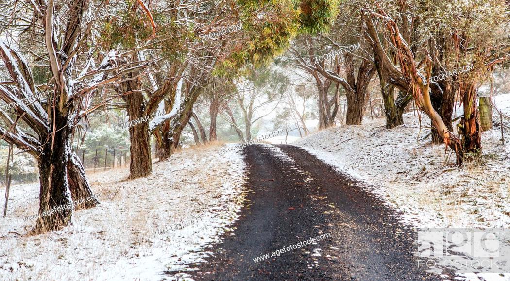Stock Photo: Road through snow covered trees and rural fields. Australia.