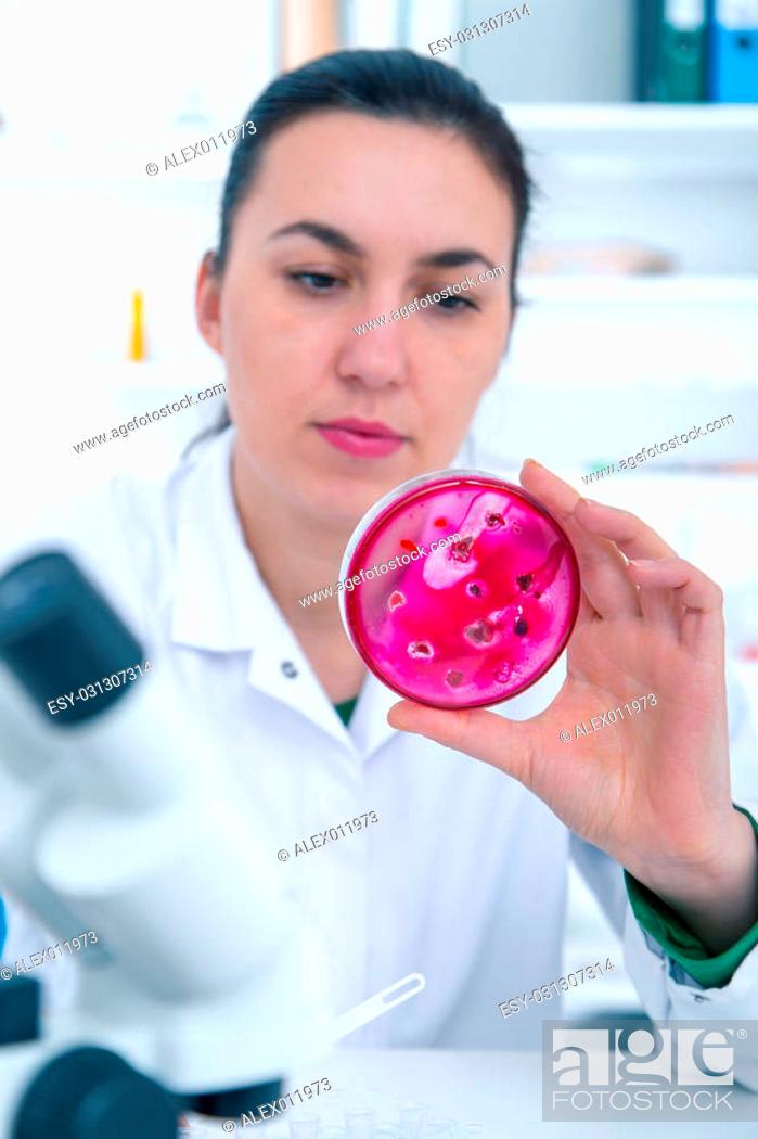 Stock Photo: Scientist examining solution in petri dish at a laboratory.Toning image.