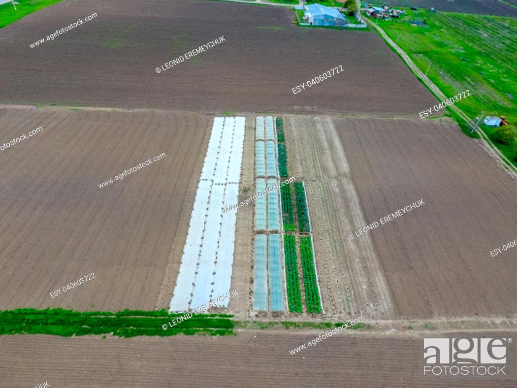 Stock Photo: Greenhouses view from above. Long greenhouses for vegetables.