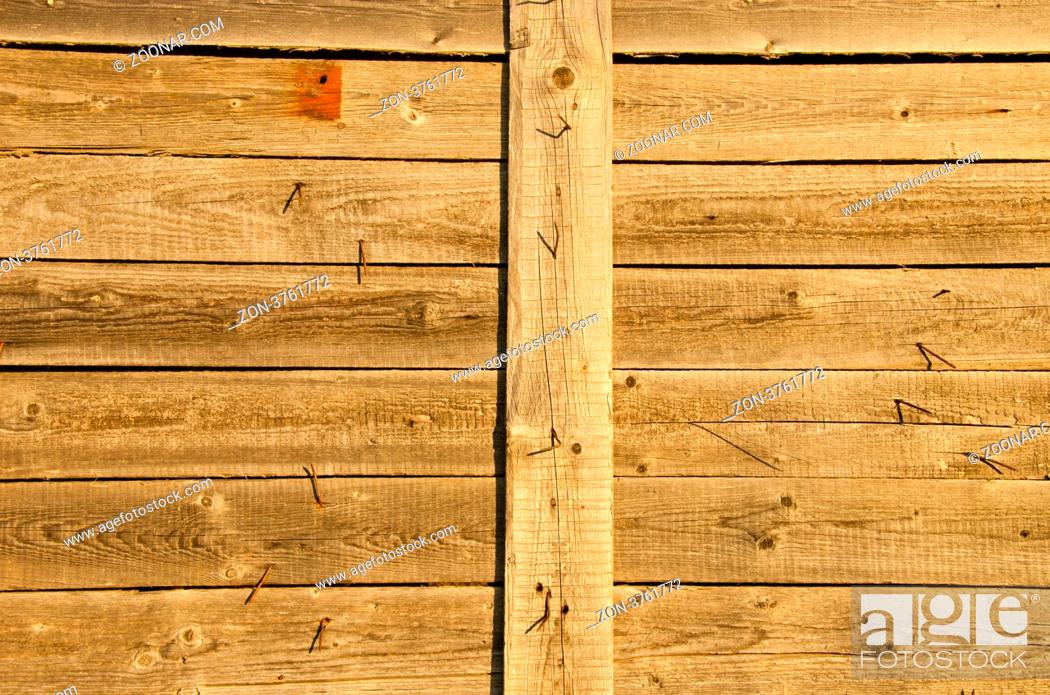 Stock Photo: Background of wooden plank board wall and lot turn nails protrude from it.