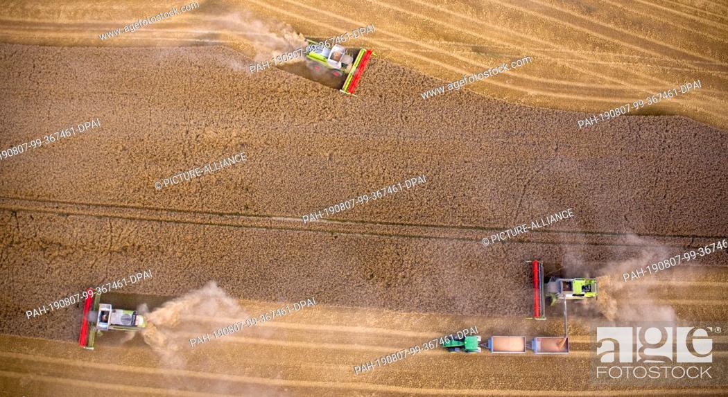 Stock Photo: 06 August 2019, Mecklenburg-Western Pomerania, Lützow: The farmers harvest the market crop Lützow on a wheat field with combine harvesters.