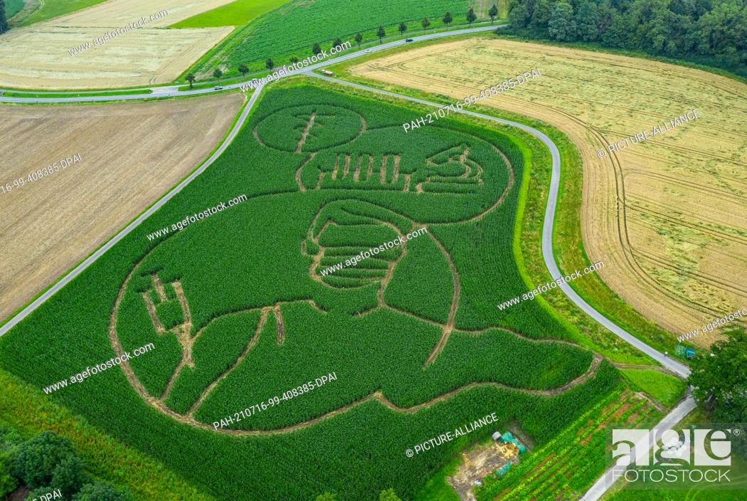 Stock Photo: 16 July 2021, North Rhine-Westphalia, Selm: Farmer Benedikt Lünemann milled a giant maze into his cornfield with a silhouette of a Corona vaccination operation.