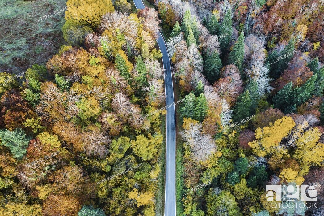 Imagen: Aerial view of a decidual forest and road in autumn. Close to Irati area. Navarre, Spain, Europe.