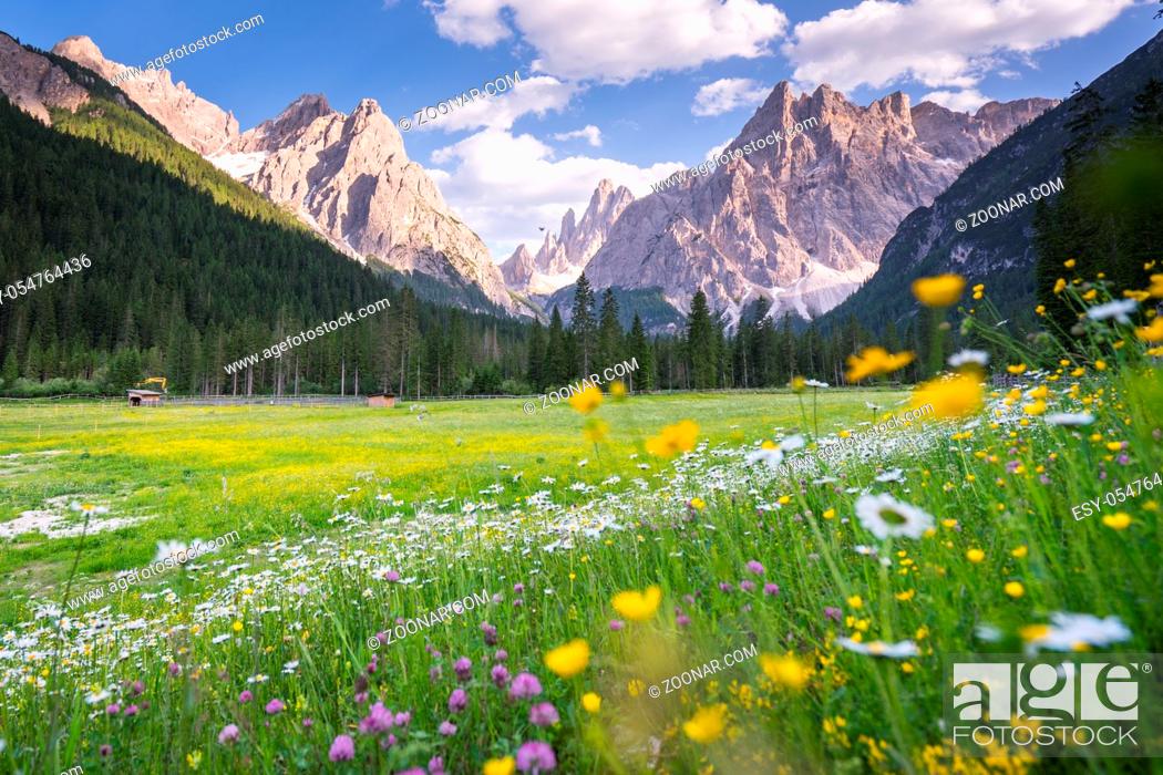 Stock Photo: Heritage, World Heritage Site, Summer, Relaxation, Resting, Nature, Sky, Stroll, Strolling, Walking, Cloud, Calm, Mountain, Quiet, Beauty, Blue, Flower, Colorful, Scenic, Forest, Tree, Green, Meadow, Silence, Brass, Italy, Trail, Peace, Beautiful, Hiking