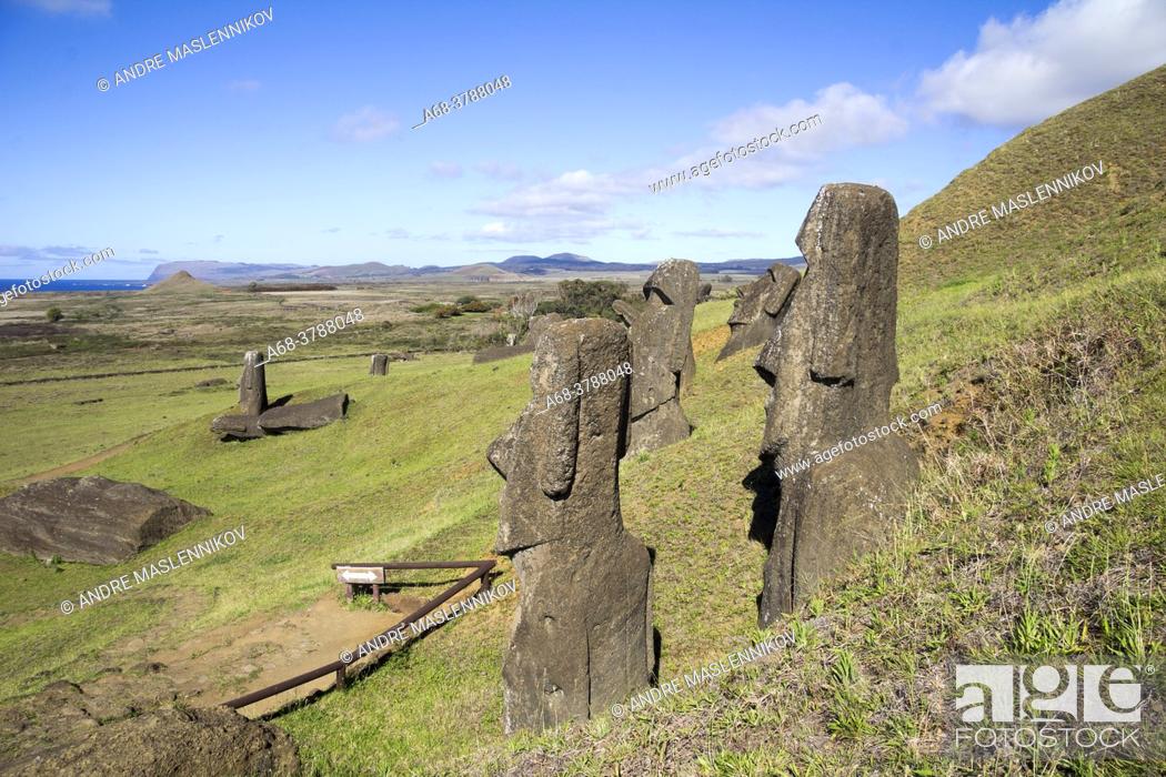 Stock Photo: Stone sculpture, moai, at the stone quarry on the slope to the crater Rano Raraku which is an extinct volcanic crater on Easter Island.