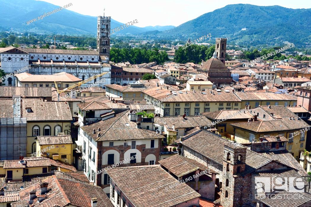 Stock Photo: The medieval town of Lucca seen from the viewpoint on the top of Guinigi Tower. Lucca, Province of Lucca, Tuscany, Italy, Europe.