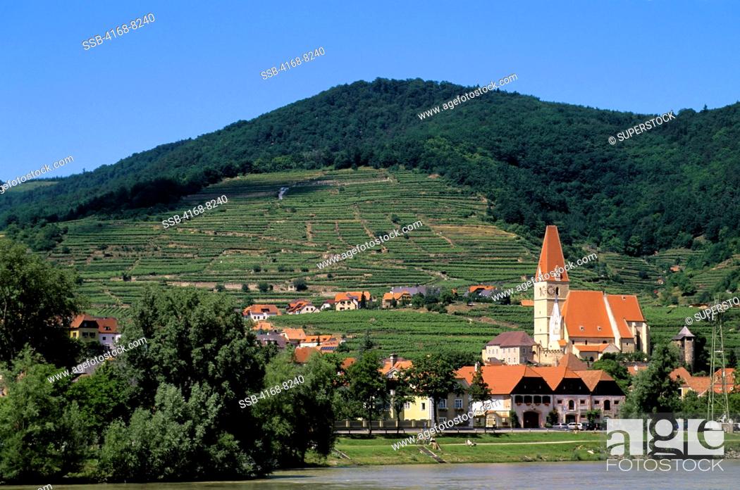 Stock Photo: Austria, Wachau Valley, Village Weissenkirchen surrounded with vineyards.