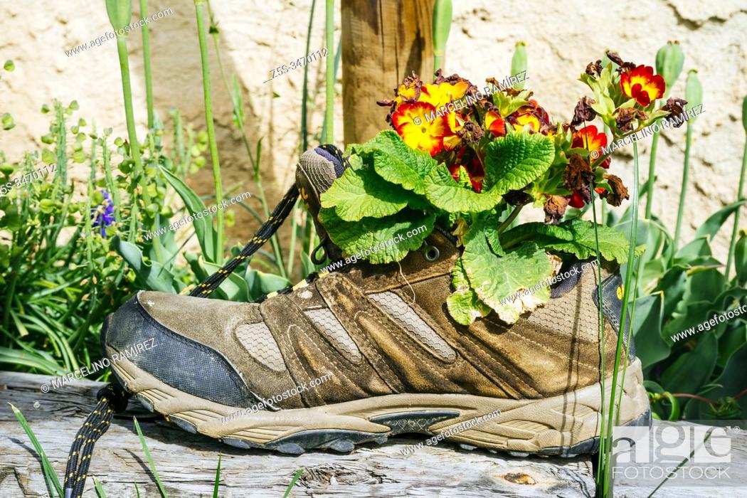 Stock Photo: Broken trekking shoe used as a flower pot. French Way, Way of St. James. Mansilla de las Mulas, León, Castile and Leon, Spain, Europe.