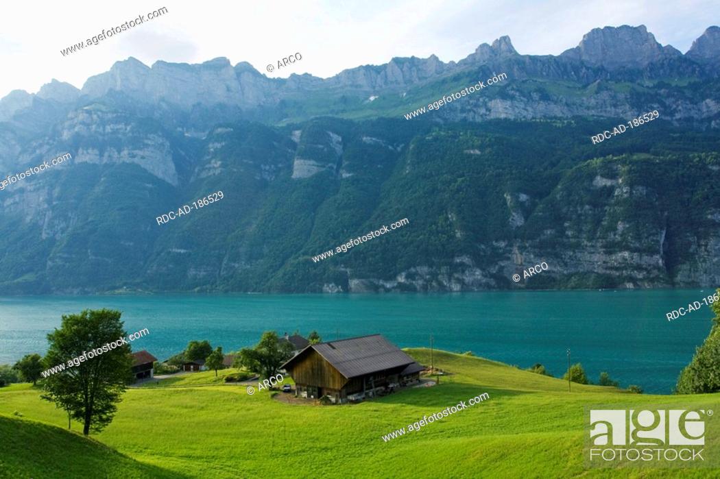 Imagen: Lake Walen, Murg, St Gallen, Switzerland, Walensee.
