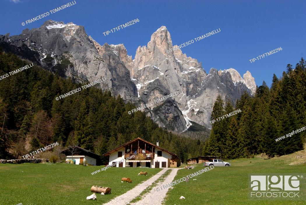 Stock Photo: Italy, Trentino Alto Adige, Val Canali, path towards Sass Maor mount.
