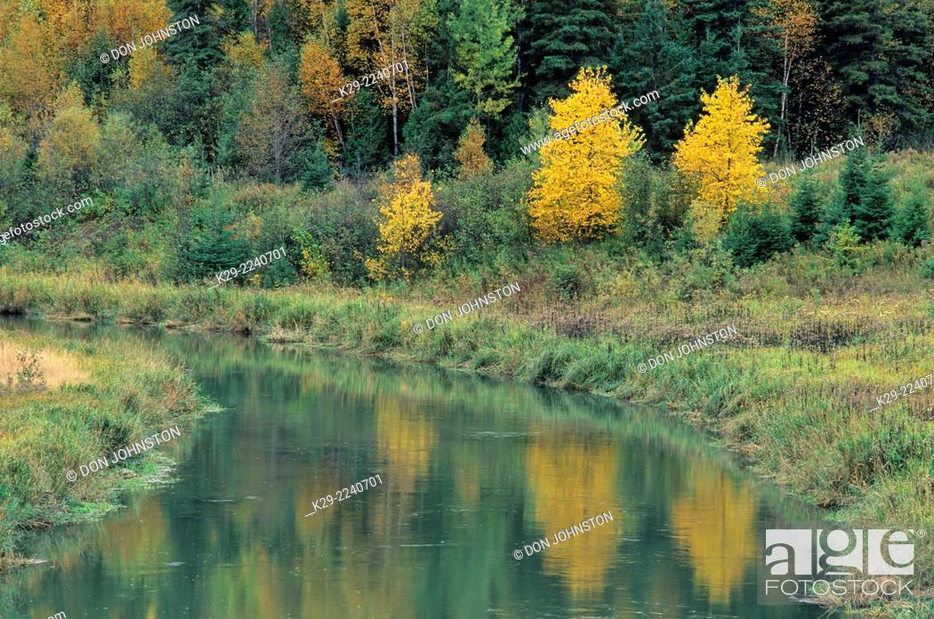 Stock Photo: Autumn colour along the shore of the Junction Creek, Greater Sudbury, Ontario, Canada.