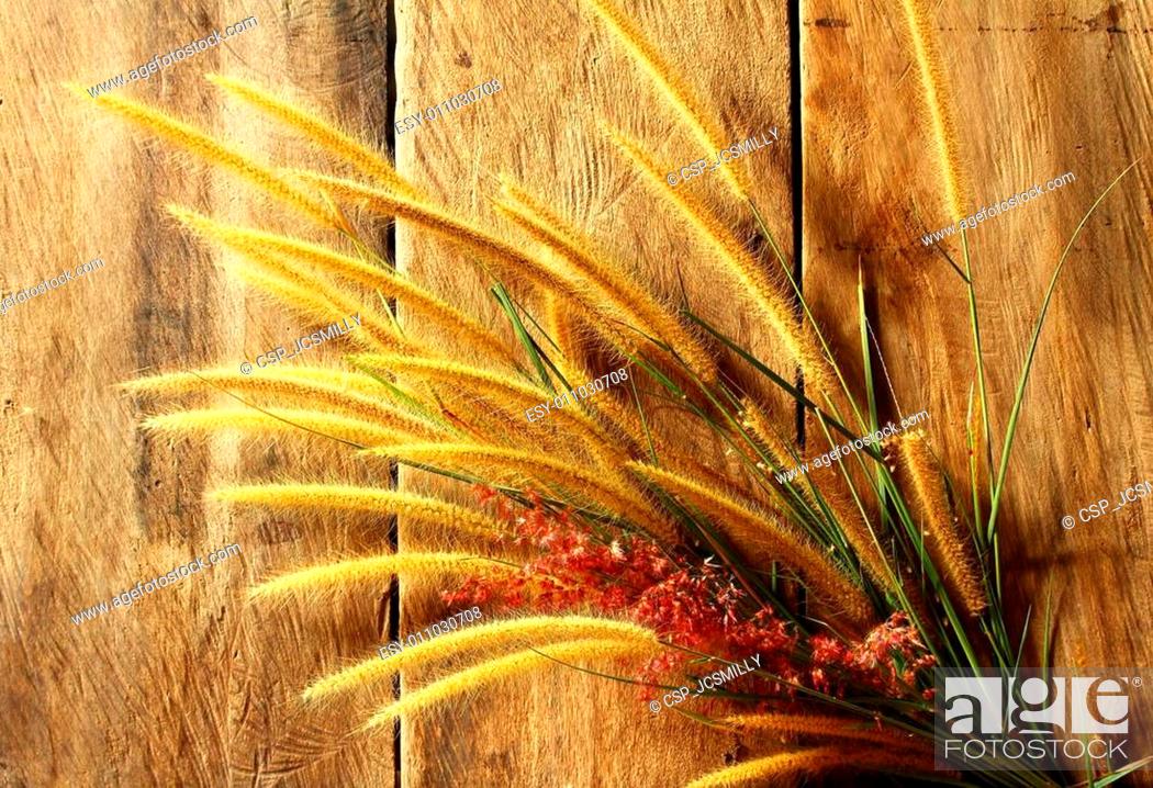 Stock Photo: Still life with foxtail grass on grunge wooden background.