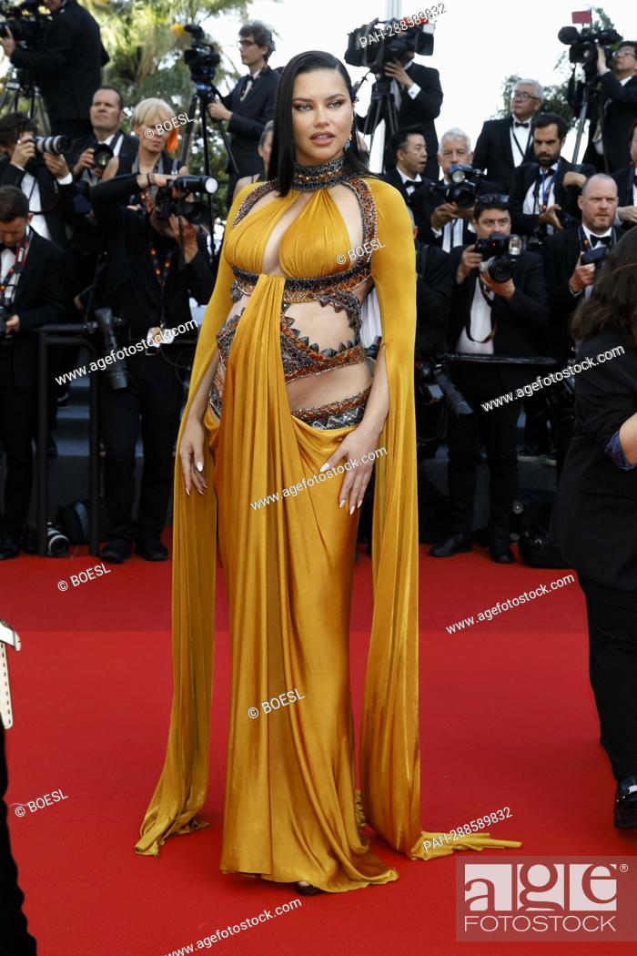 Adriana Lima Attends The Premiere Of 'Elvis' During The 75Th Annual Cannes  Film Festival At Palais..., Stock Photo, Picture And Rights Managed Image.  Pic. Pah-288589832 | Agefotostock