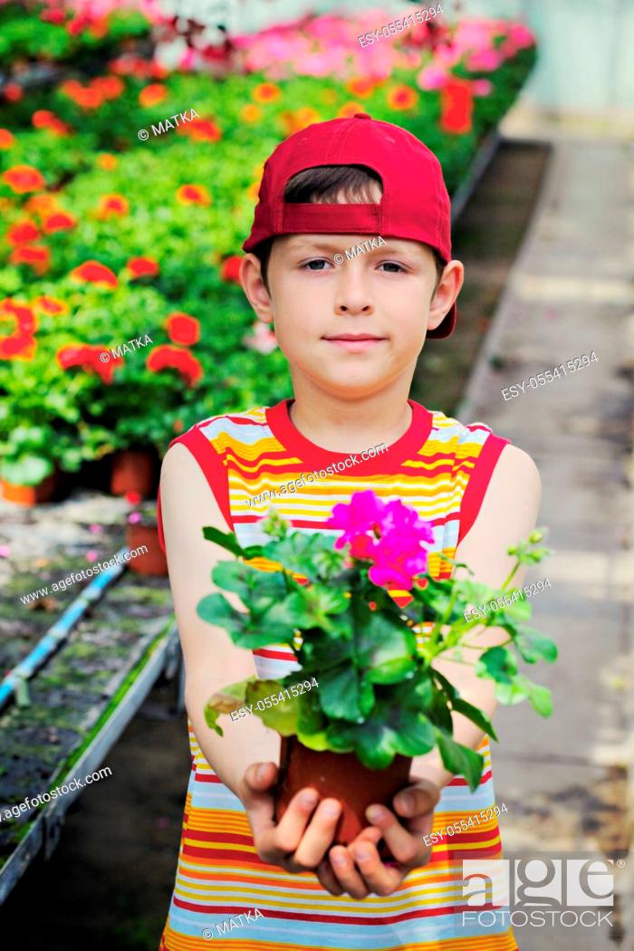 Stock Photo: boy, gift, mothers day, flower gift.