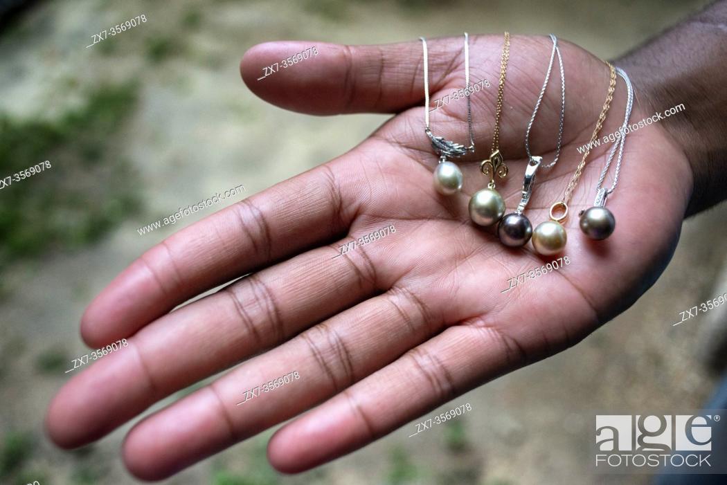 Stock Photo: Hands holds a selection of raw Fiji Black lip oyster black pearls. Mamanucas island group Fiji.