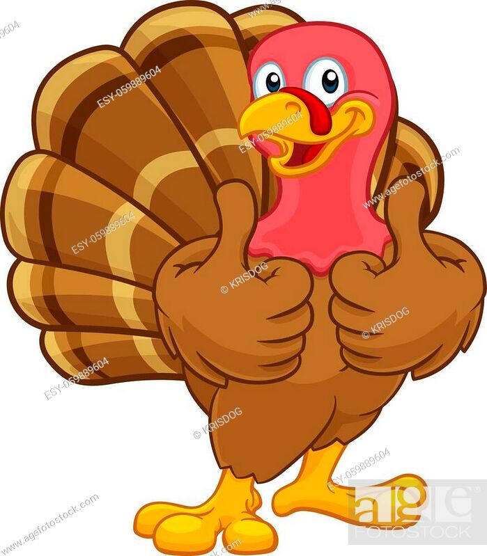Turkey Thanksgiving or Christmas bird animal cartoon character giving a  thumbs up, Stock Vector, Vector And Low Budget Royalty Free Image. Pic.  ESY-059889604 | agefotostock