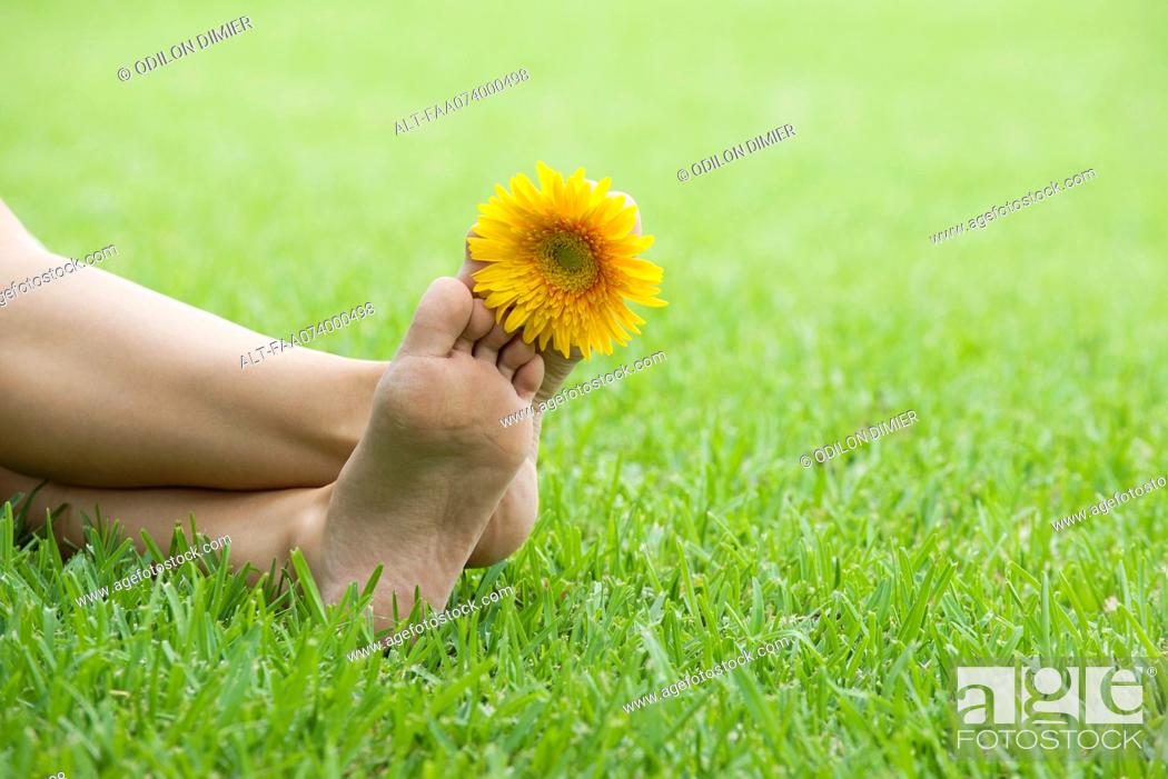Stock Photo: Holding flower between toes.