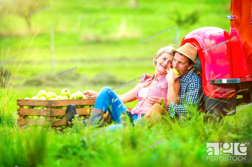 Stock Photo: Senior couple sitting next to the red truck after harvesting apples.