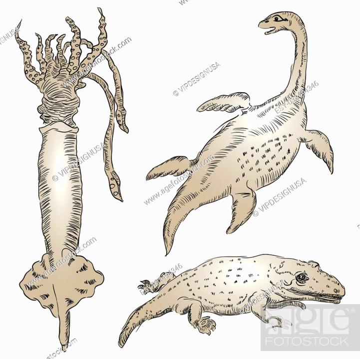 Fossil of prehistoric animals living in the aquatic environment, Stock  Photo, Picture And Low Budget Royalty Free Image. Pic. ESY-033494346 |  agefotostock