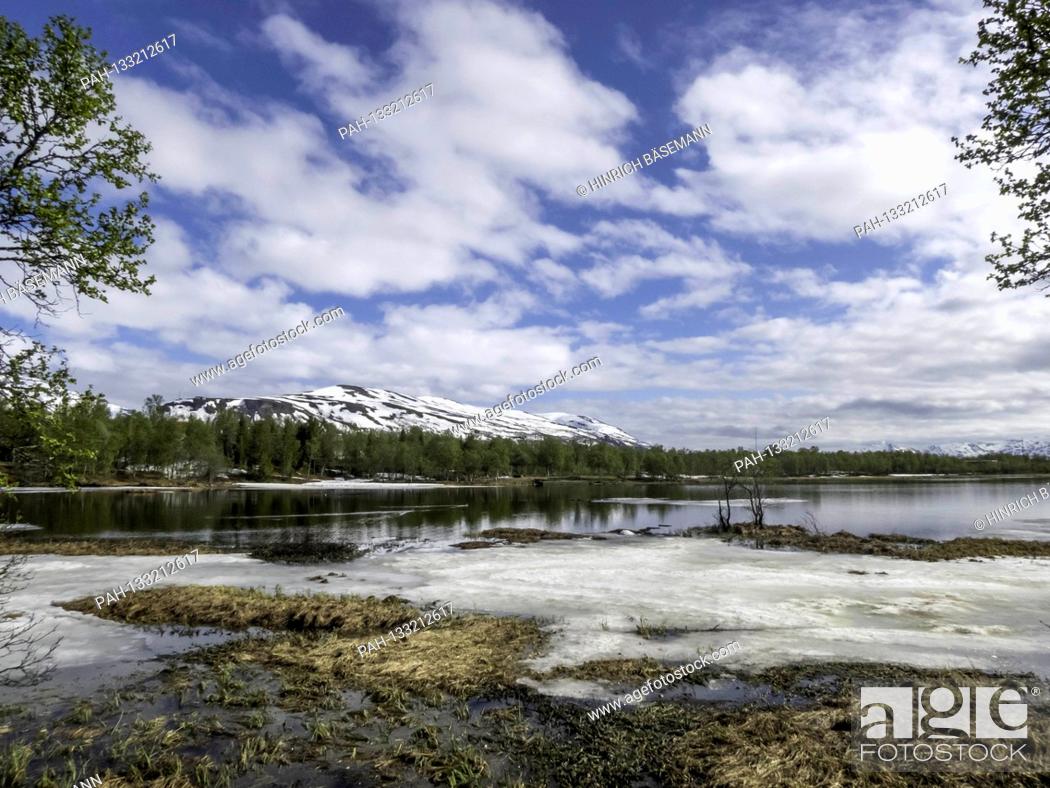 Stock Photo: late spring at lake Prestvannet, june 2020 | usage worldwide. - Tromsö/Troms/Norway.