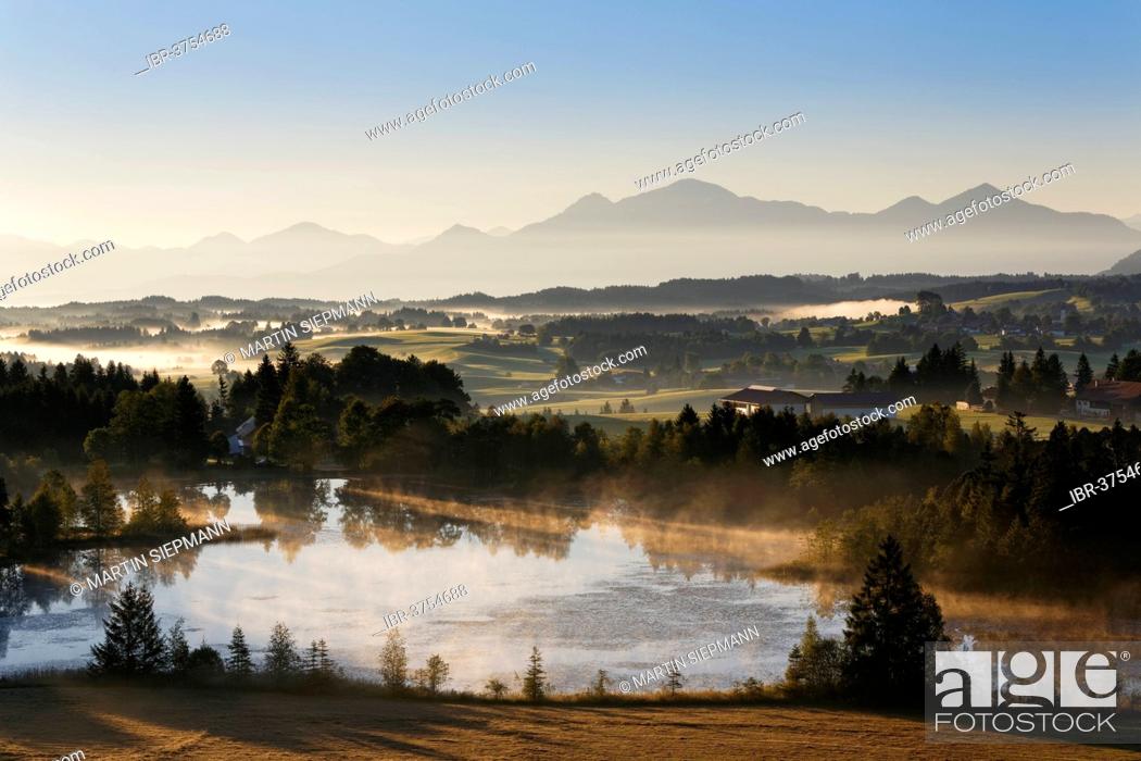 Stock Photo: Early morning mood on Schwaigsee lake, Wildsteig, Pfaffenwinkel region, Upper Bavaria, Bavaria, Germany.
