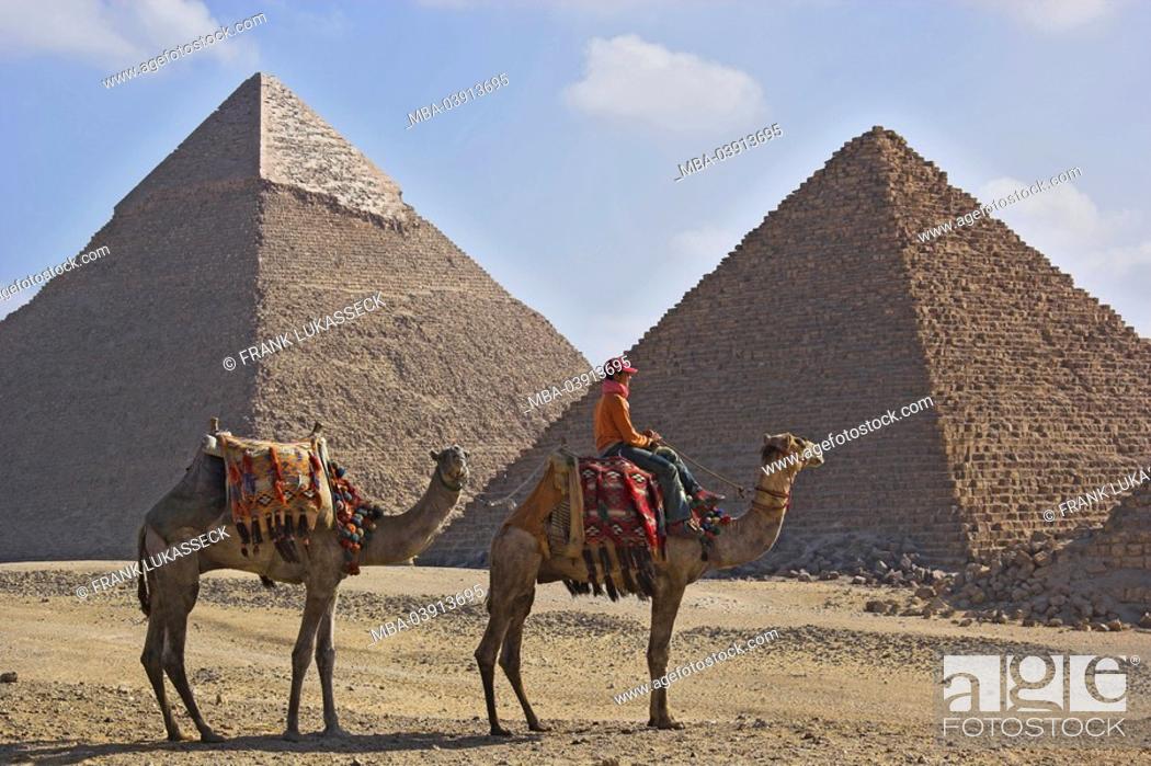 Stock Photo: Egypt, Cairo, Giseh, pyramids, rding a camel.