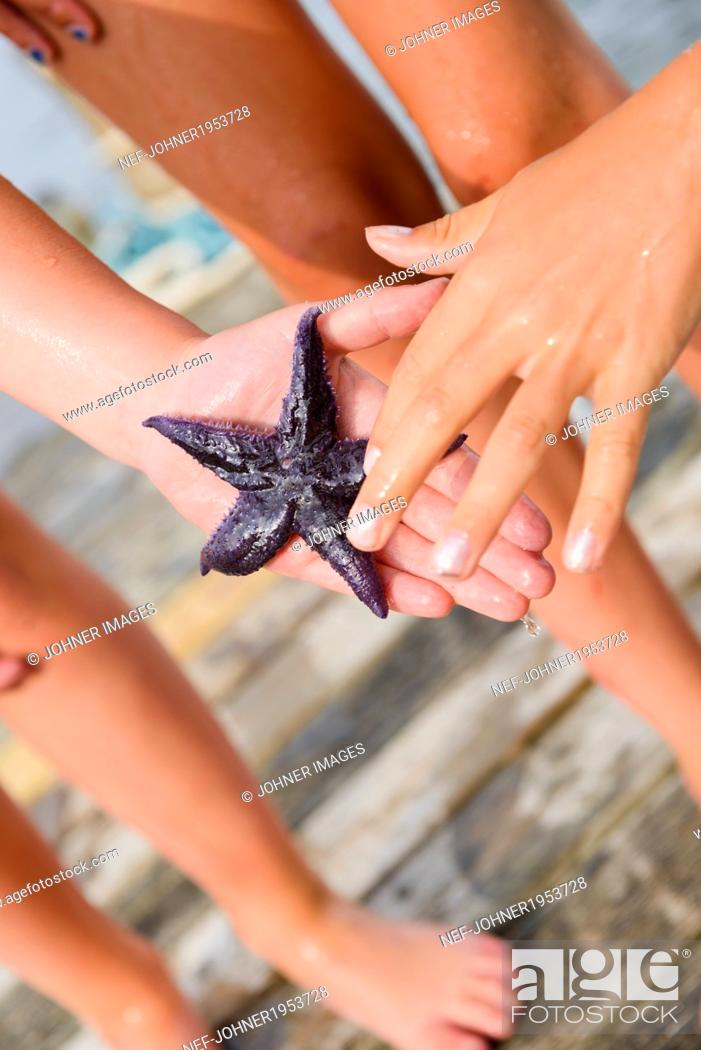 Stock Photo: Starfish on childs hand.