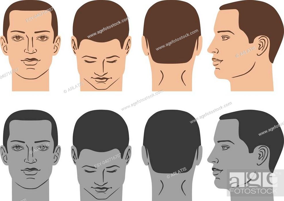 Man hairstyle head set (front, back, side views), vector illustration  isolated on white background, Stock Vector, Vector And Low Budget Royalty  Free Image. Pic. ESY-040716707 | agefotostock