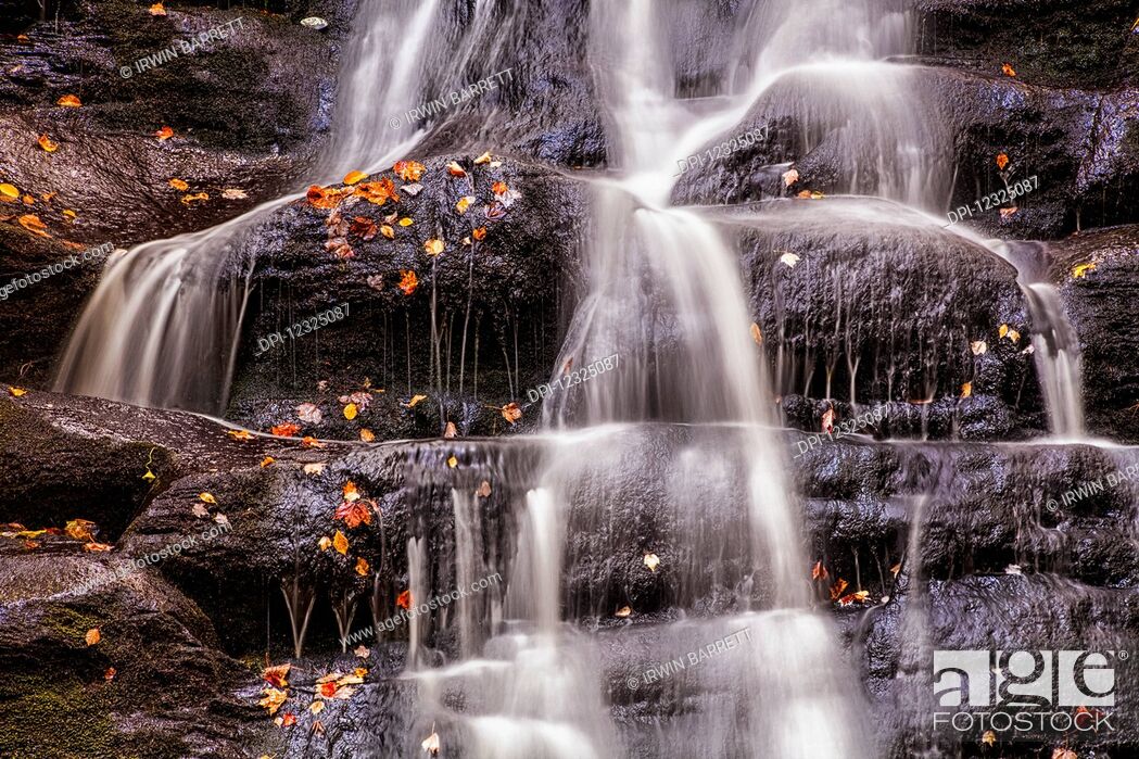 Stock Photo: Autumn coloured leaves and waterfall on MacInnis Brook, near West Gore; Nova Scotia, Canada.