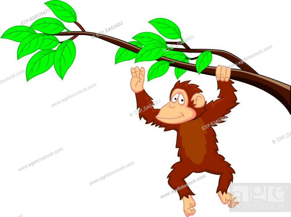 Chimpanzee Cartoon, Stock Vector, Vector And Low Budget Royalty Free Image.  Pic. ESY-024579477 | agefotostock