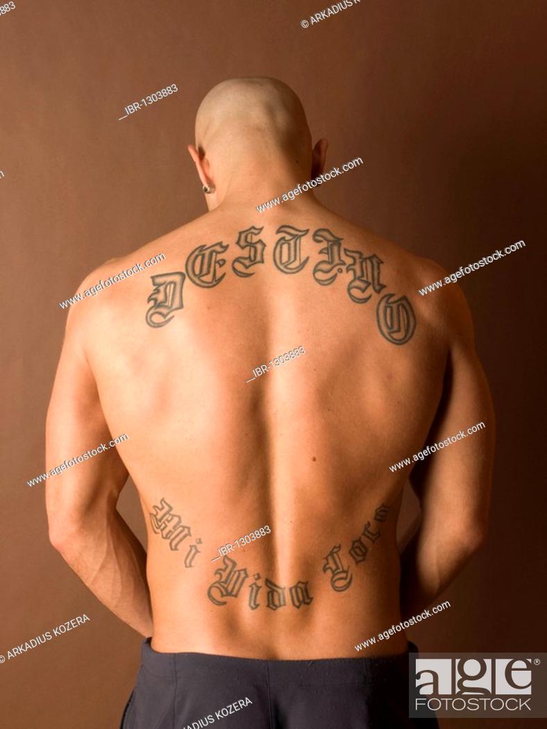Man, muscular, back, tattoo, Stock Photo, Picture And Rights Managed Image.  Pic. IBR-1303883 | agefotostock