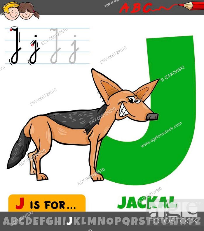 Educational cartoon illustration of letter J from alphabet with jackal  animal character, Stock Vector, Vector And Low Budget Royalty Free Image.  Pic. ESY-060129510 | agefotostock