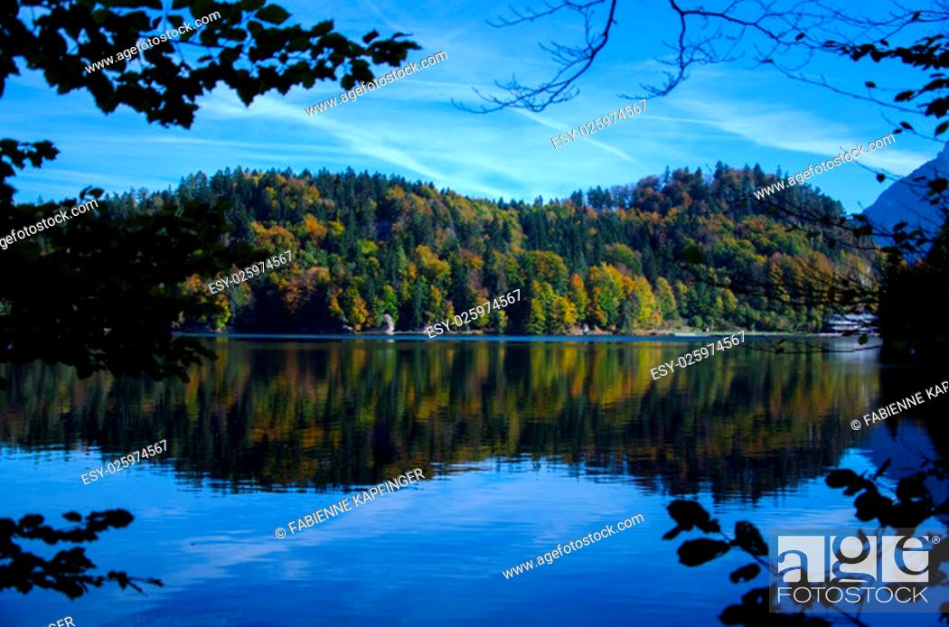 Stock Photo: Water, Mountain, Forest, Autumn, Lake, Alps, Freshwater, Tyrol, Inland, Boathouse, Hechtsee