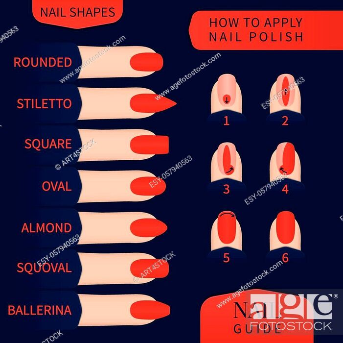 Nail care infographic poster with set of nail shapes and nail polish  application technique, Stock Vector, Vector And Low Budget Royalty Free  Image. Pic. ESY-057940563 | agefotostock