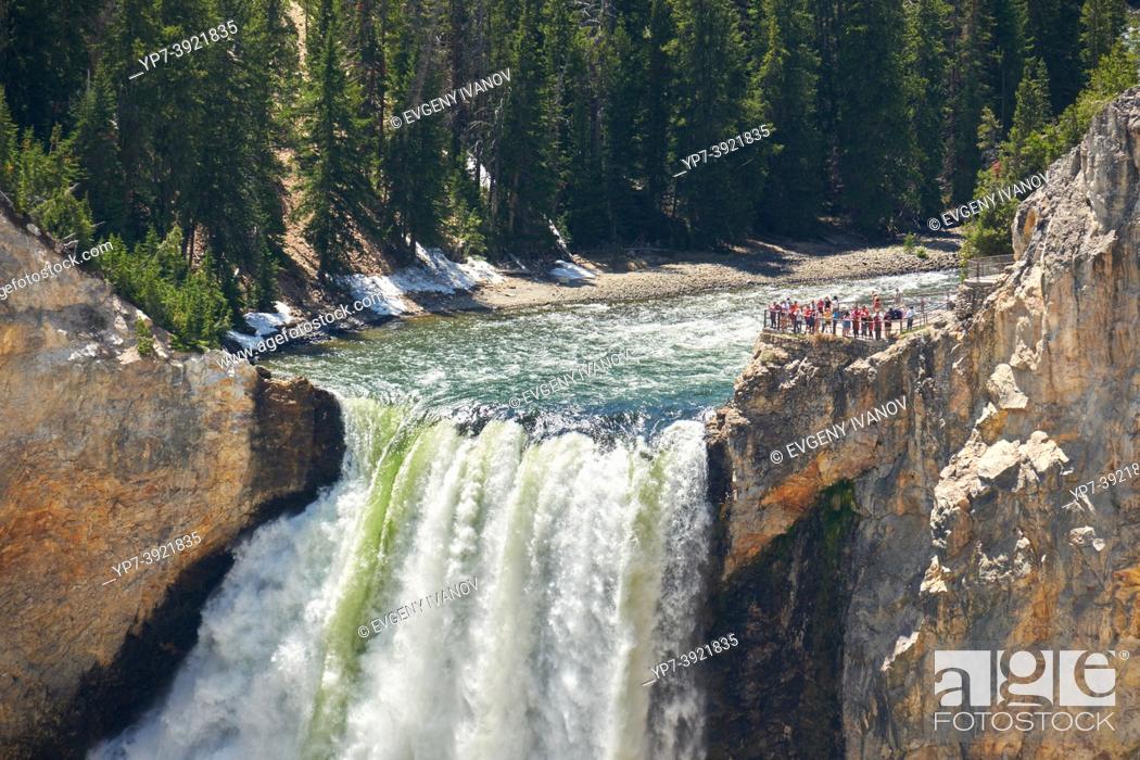 Imagen: Brink Of The Lower Falls In Grand Canyon Of Yellowstone, Yellowstone National Park, Wyoming, USA.