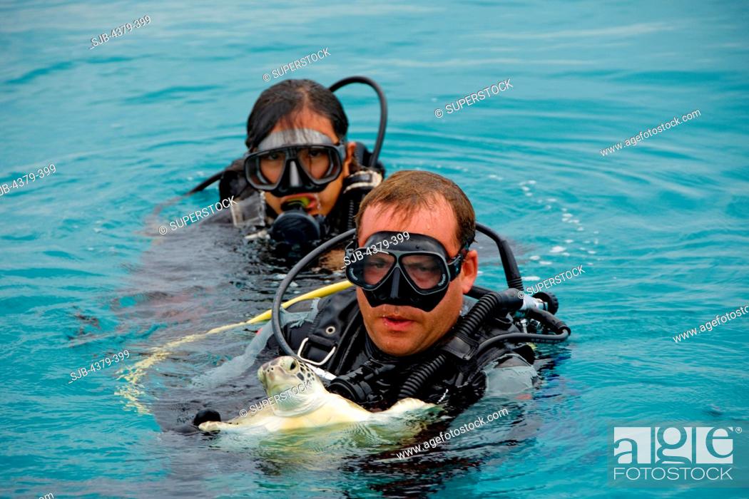 Stock Photo: Divers with a captured green sea turtle Chelonia mydas in the South China Sea off Mengalum Island.