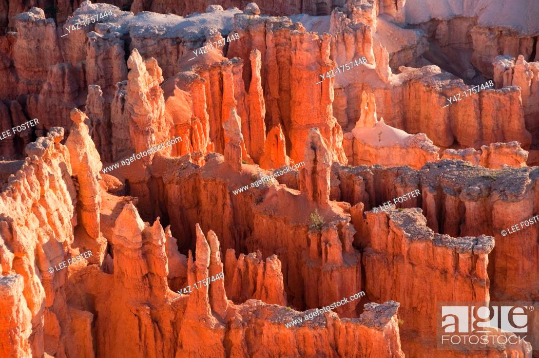 Stock Photo: USA, Utah, dawn light on landscape at Bryce Point in Bryce Canyon National Park.