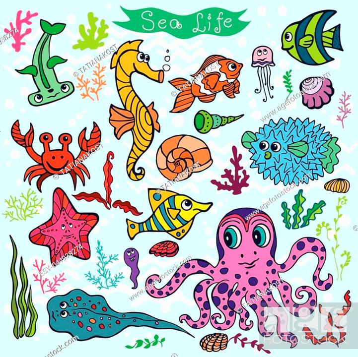 Sea life animals set .Fish, octopus, crab, seahorse with coral, seaweed and  shell, Stock Vector, Vector And Low Budget Royalty Free Image. Pic.  ESY-044938274 | agefotostock