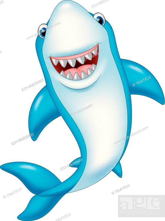 Vector illustration of Cartoon funny shark isolated on white background,  Stock Vector, Vector And Low Budget Royalty Free Image. Pic. ESY-056539451  | agefotostock