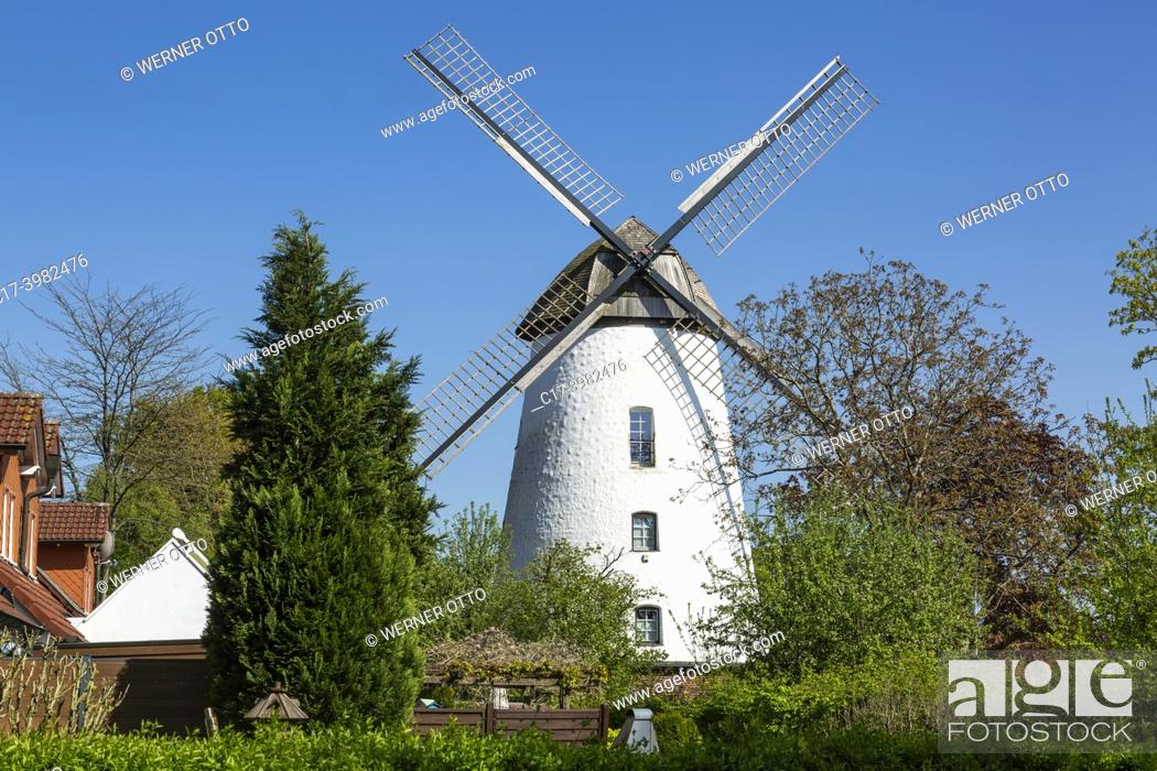 Stock Photo: Senden (West. ), Ottmarsbocholt, Germany, Senden (Westfalen), Muensterland, Westphalia, North Rhine-Westphalia, NRW, Senden-Ottmarsbocholt, windmill.