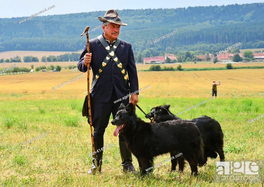 Stock Photo: Shepherd Bernd Angelroth stands with shepherd dogs during the 22nd Thuringian Shepherd Festival in Hohenfelden,  Germany, 03 August 2013.