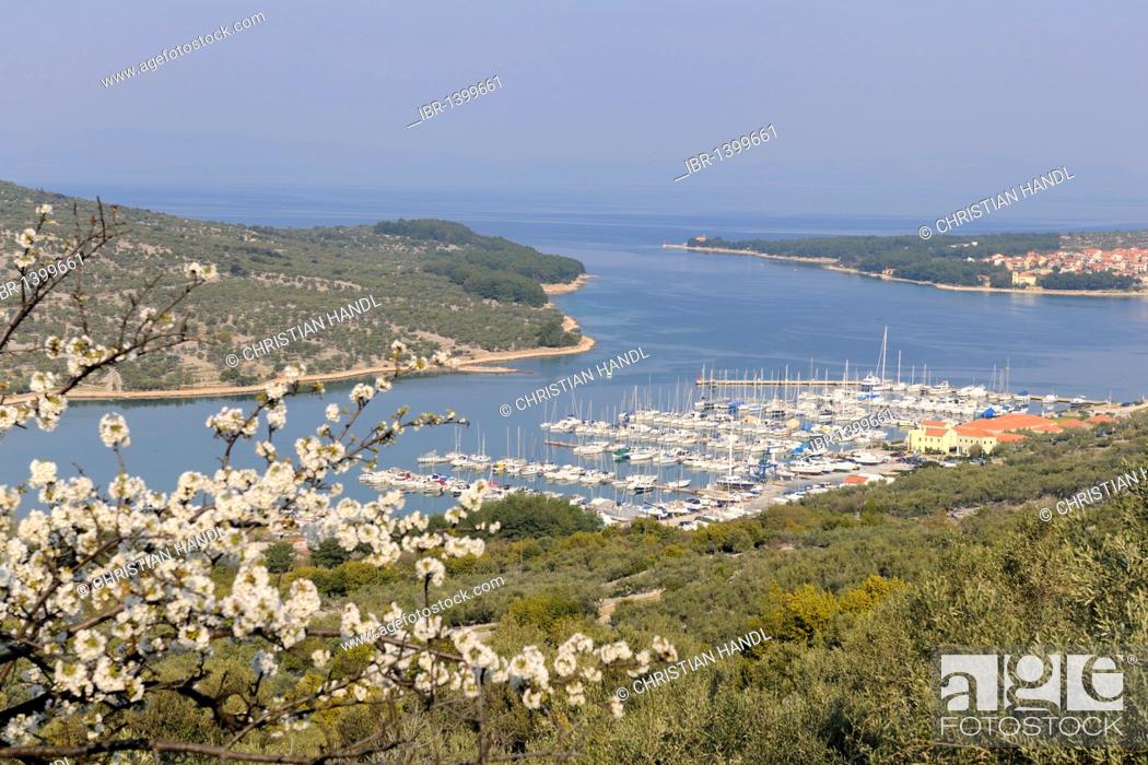 Stock Photo: View of the city of Cres, Croatia, Europe.