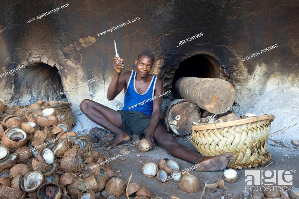 Stock Photo: A teenage day labourer removes the dried meat or kernel called copra from the coconut, Quelimane, Mozambique, Africa.