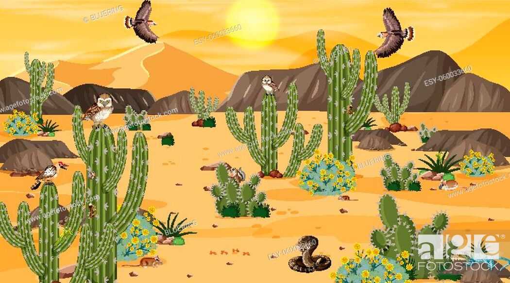 Desert forest landscape at sunset scene with desert animals and plants  illustration, Stock Vector, Vector And Low Budget Royalty Free Image. Pic.  ESY-060033660 | agefotostock