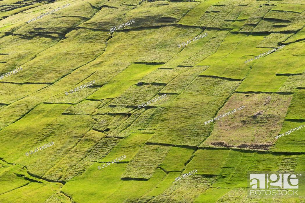 Stock Photo: Parcels of land, fields, patchwork, Kvívík, Streymoy, Faroe Islands, Denmark.