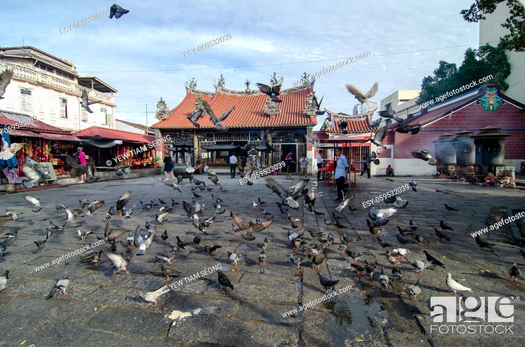Stock Photo: Georgetown, Penang/Malaysia - May 28 2018: Flock of Pigeons at Goddess of Mercy Temple.