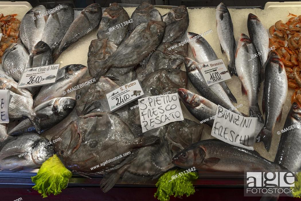 Stock Photo: Fresh Peter fish (Zeus faber), left and right Temperate basses (Moronidae) on ice, fish market, Venice, Veneto, Italy, Europe.